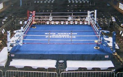 JULIO CESAR CHAVEZ JUNIOR POWRÓCIŁ ZWYCIĘSKO 