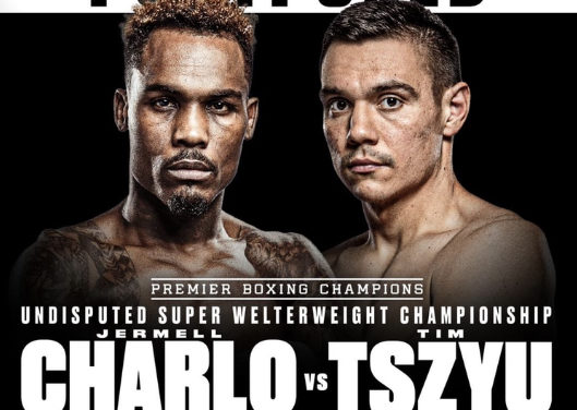 <strong>CHARLO KONTUZJOWANY! STYCZNIOWA WALKA Z TSZYU NIE ODBĘDZIE SIĘ!</strong>