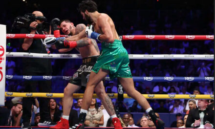 STEVENSON POKONUJE ZEPEDĘ. SHEERAZ NOKAUTUJE BERLANGĘ I CHCE CANELO