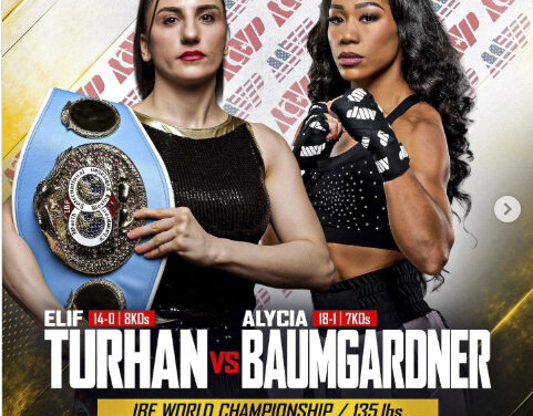 MISTRZOWSKIE STARCIA BROWN-SCOTNEY I TURHAN-BAUMGARDNER W LISTOPADZIE